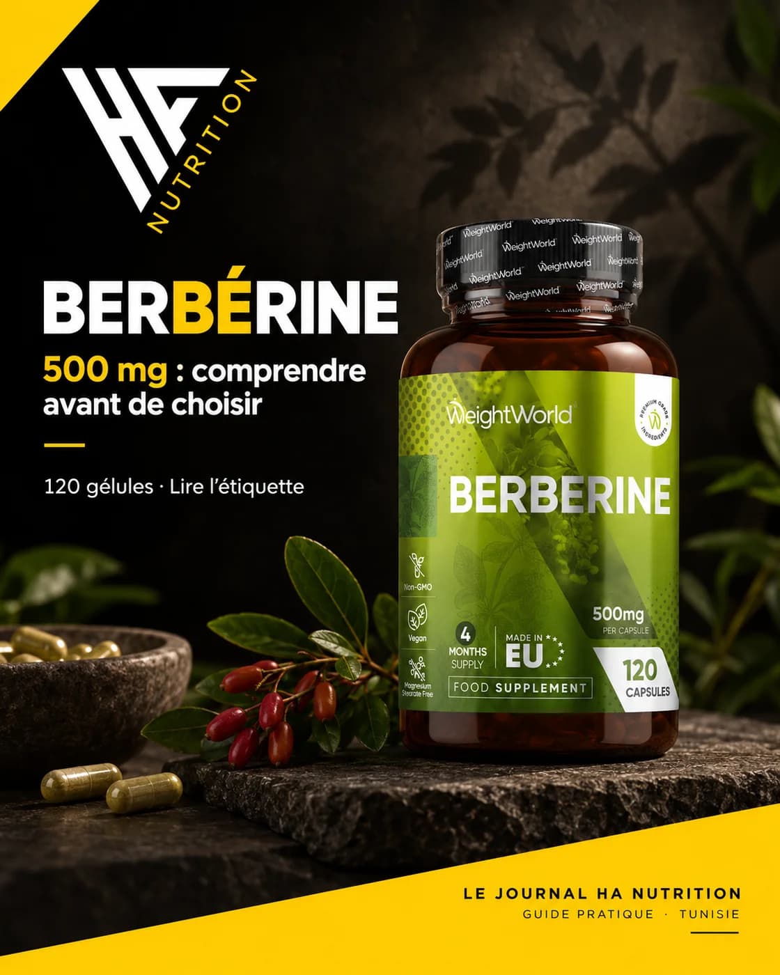 Berbérine 500 mg : comprendre avant de choisir — Plantes & compléments