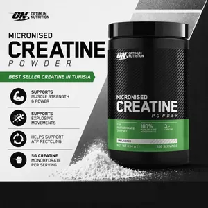 Optimum Nutrition Micronized Creatine 634g thumbnail 2