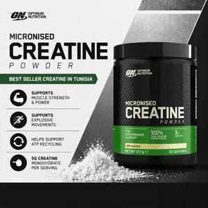 Optimum Nutrition Micronized Creatine 317g thumbnail 2