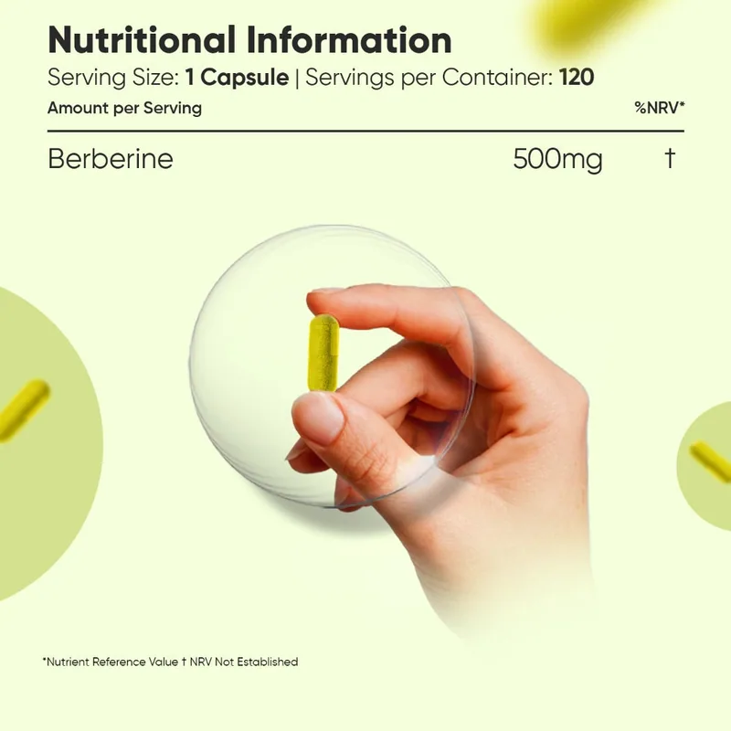 Berbérine 500 mg — 120 gélules | WeightWorld — image 3